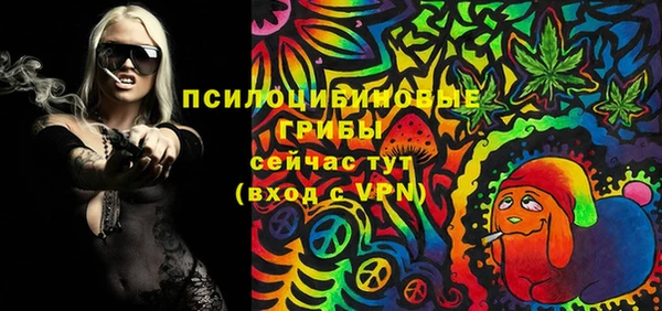 первитин Белокуриха